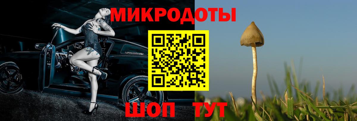 Псилоцибиновые грибы мухоморы Каменка